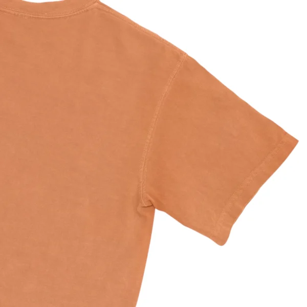 Don’t Run From Challenges Jump Over Them Unisex Comfort Colors T-shirts