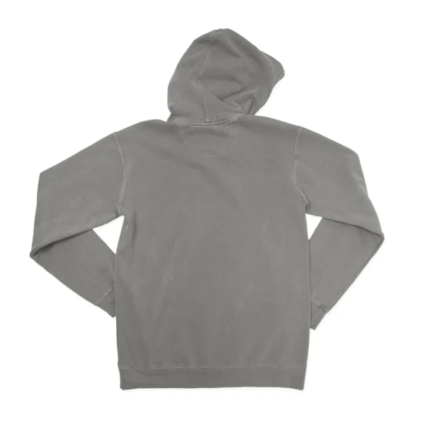 Easily Distracter By Horse Unisex Comfort Colors Hooded Sweatshirt