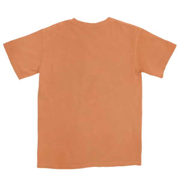 Don’t Run From Challenges Jump Over Them Unisex Comfort Colors T-shirts