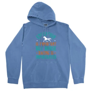 Education Is Important But Horse Racing Is Importanter Unisex Comfort Colors Hooded Sweatshirt