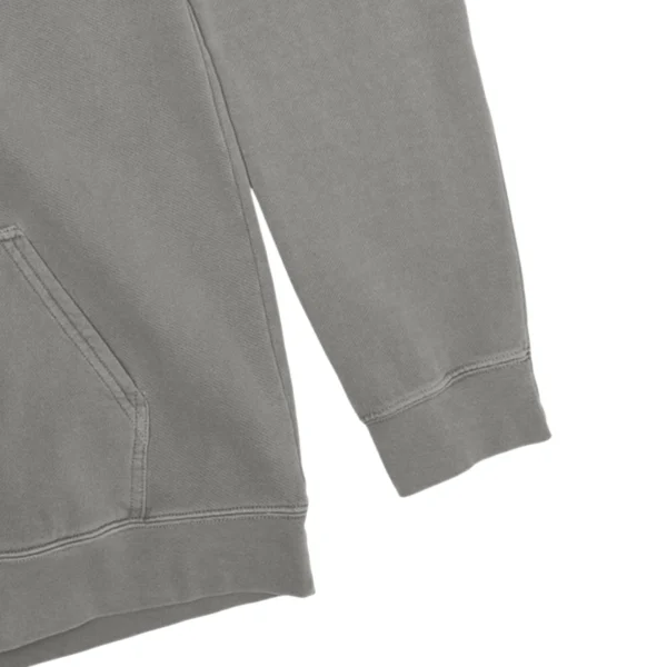 Easily Distracter By Horse Unisex Comfort Colors Hooded Sweatshirt