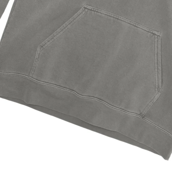 Easily Distracter By Horse Unisex Comfort Colors Hooded Sweatshirt